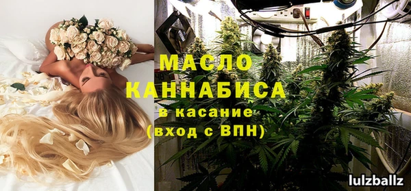 молекула духа Козловка