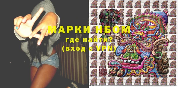 молекула духа Козловка