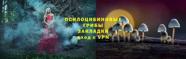молекула духа Козловка