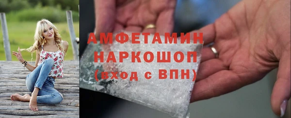 молекула духа Козловка