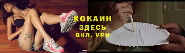 молекула духа Козловка