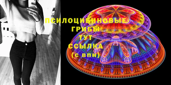 молекула духа Козловка
