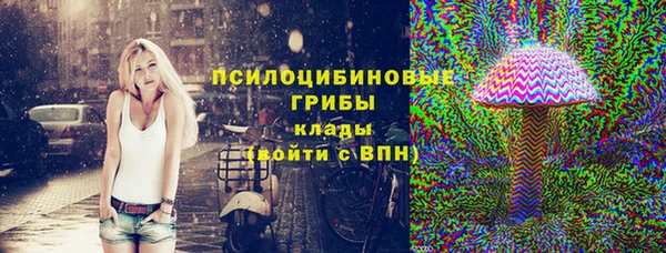 молекула духа Козловка