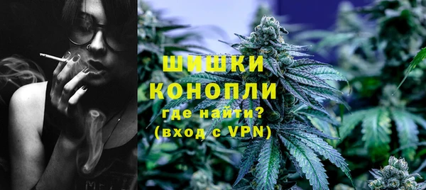 молекула духа Козловка