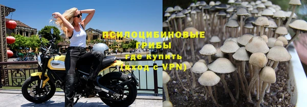 Альфа ПВП Козельск