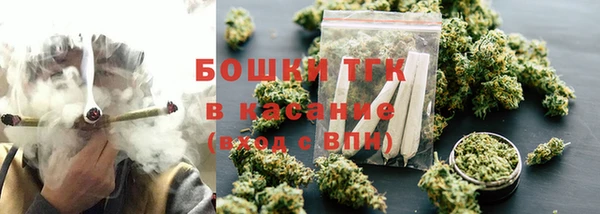 молекула духа Козловка