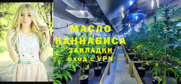 молекула духа Козловка