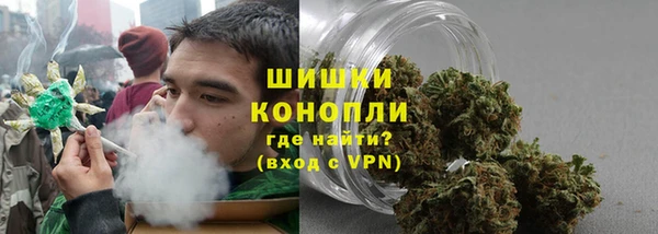 молекула духа Козловка